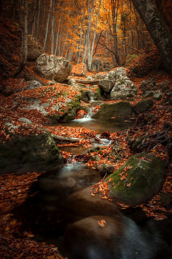 Photograph by Денис Бардась