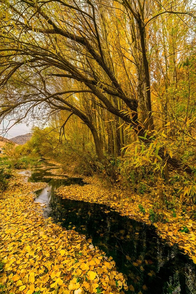 Photograph by Edris Khosravizadeh