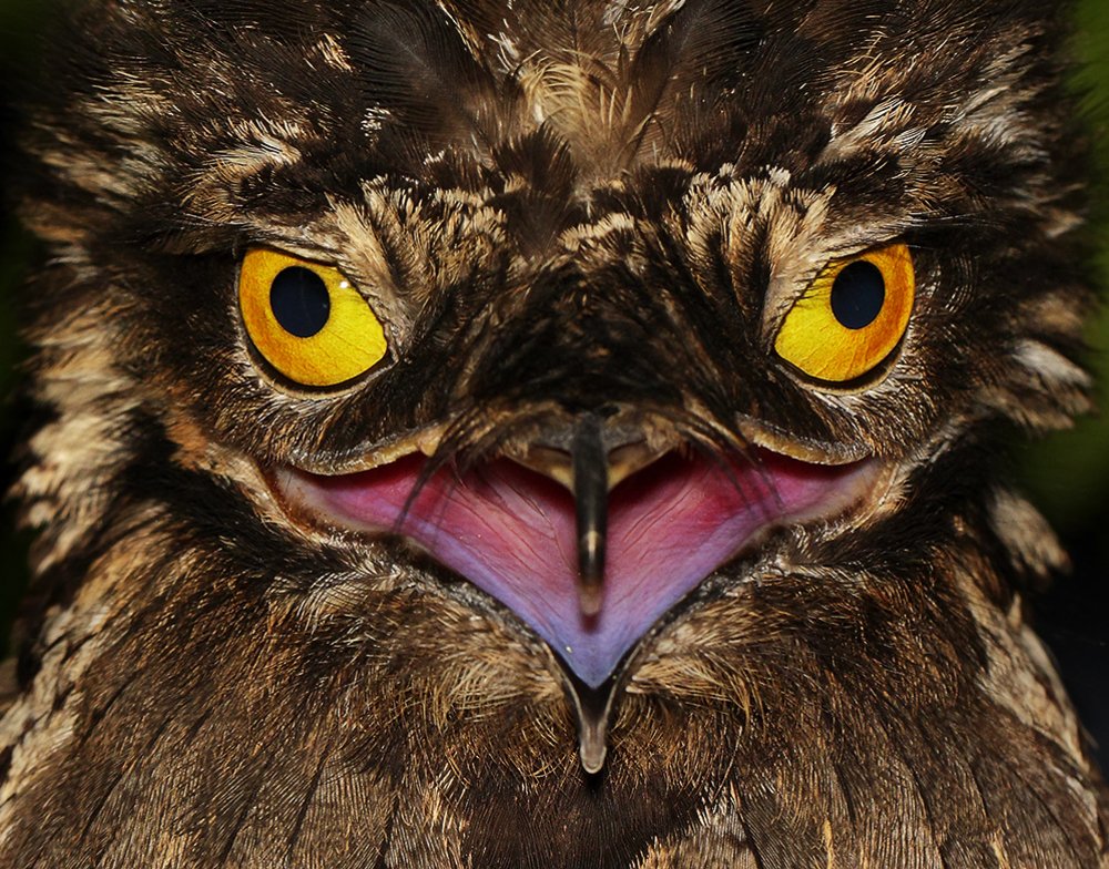 Photograph by Eduardo Di Fiore