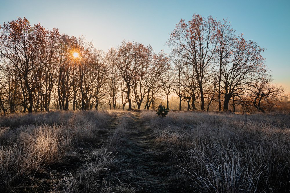Зябкое утро.