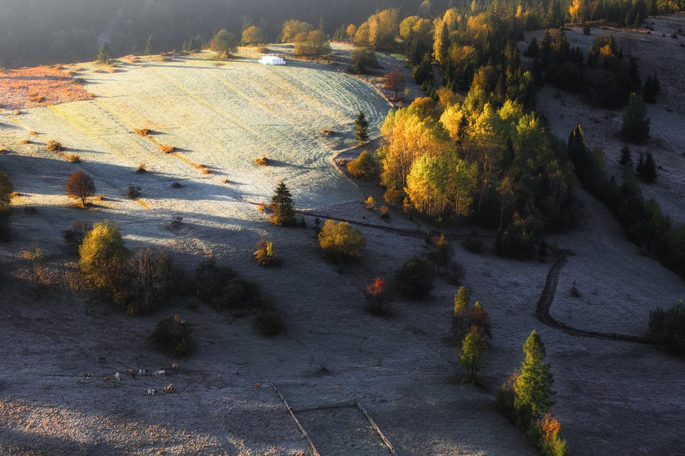 Photograph by Figat Marcin