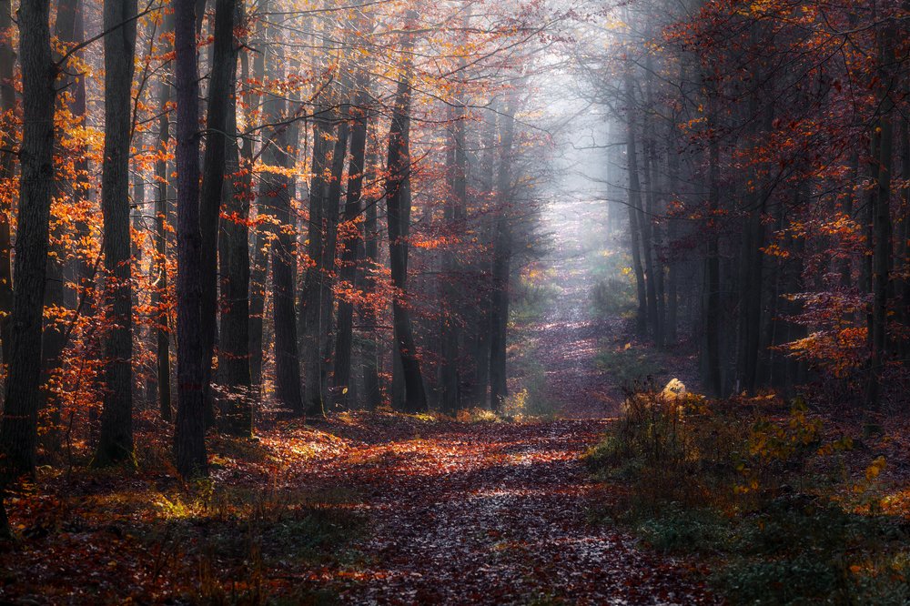 Photograph by Figat Marcin