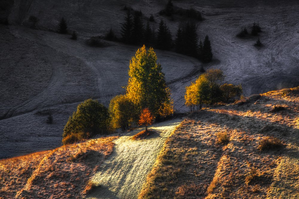 Photograph by Figat Marcin