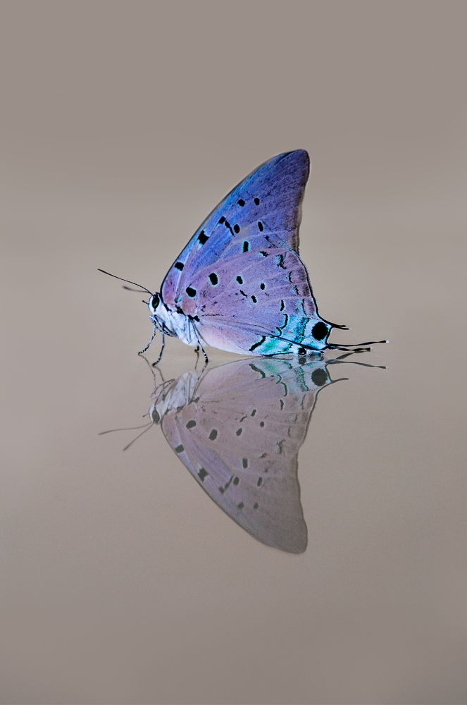 Photograph by Victor Cortés