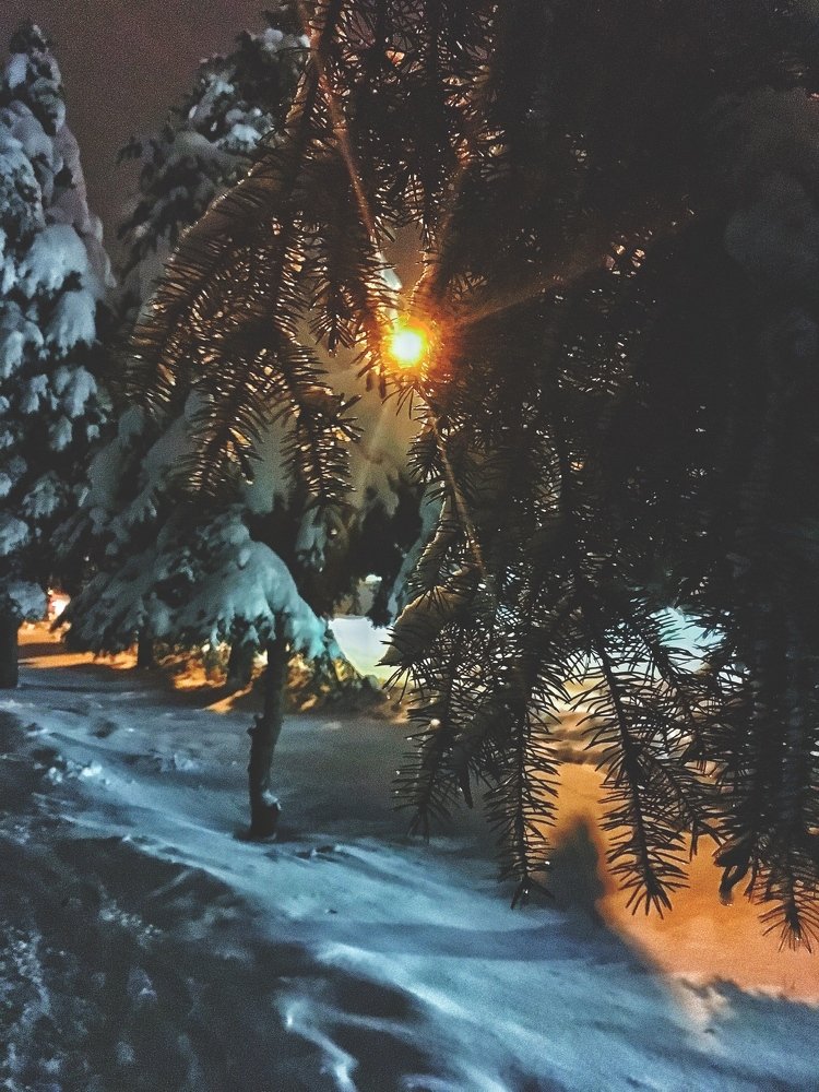 Фотография автора Артемий Николаевич