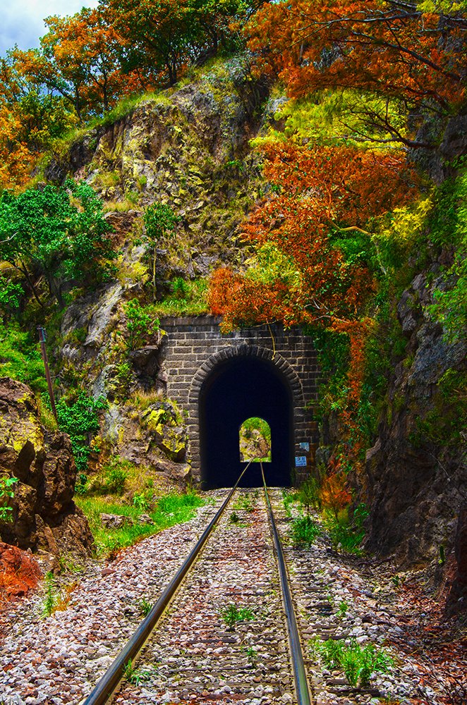 Autumn on the railway