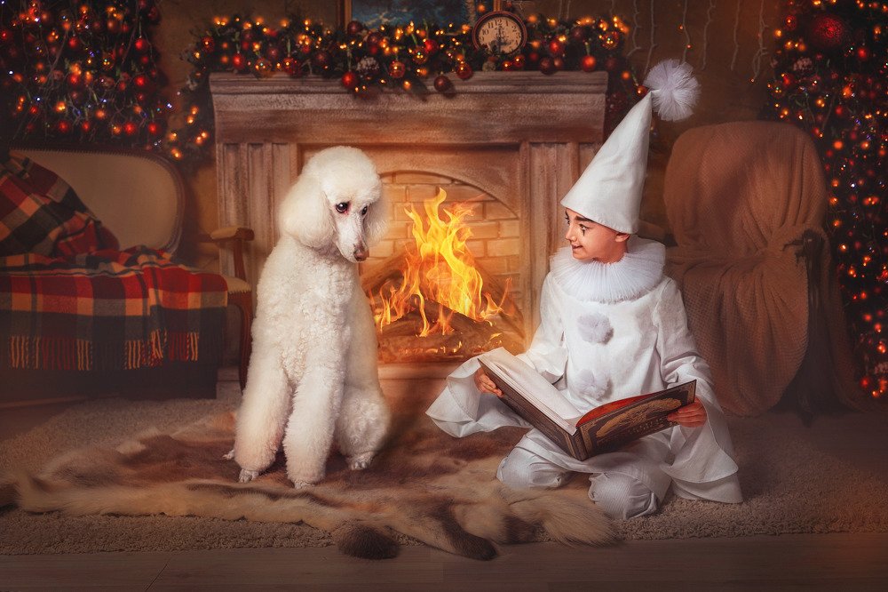 Photograph by Ольга Верхотурова