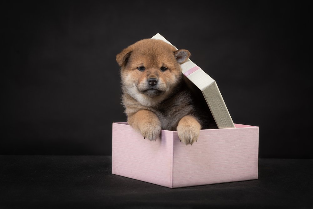 Photograph by Инна Макеева