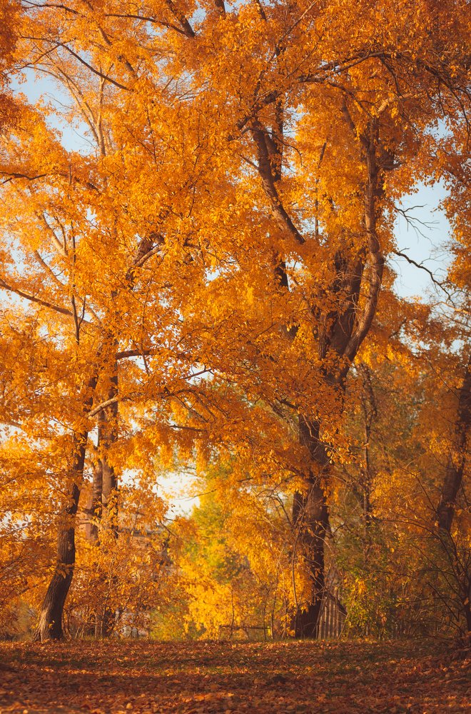 Photograph by Инна Макеева