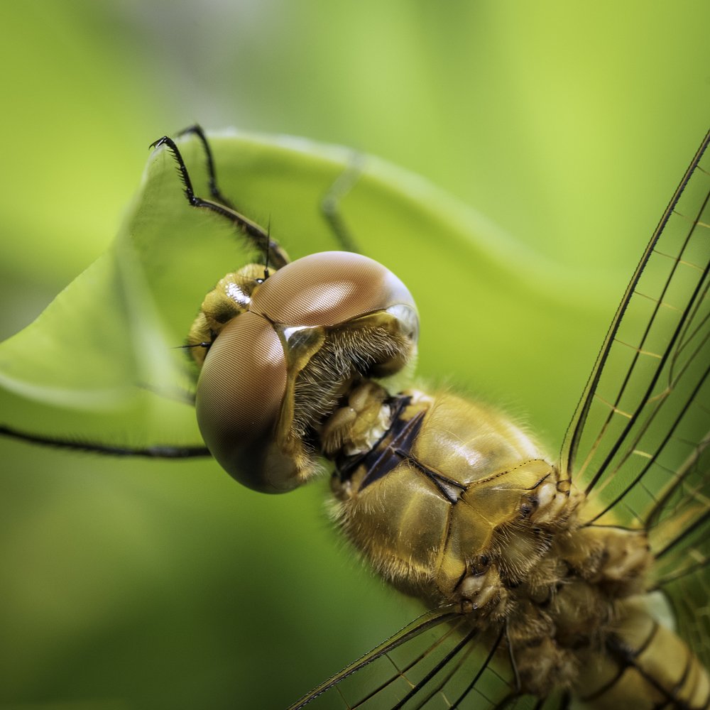 Photograph by Ng Max