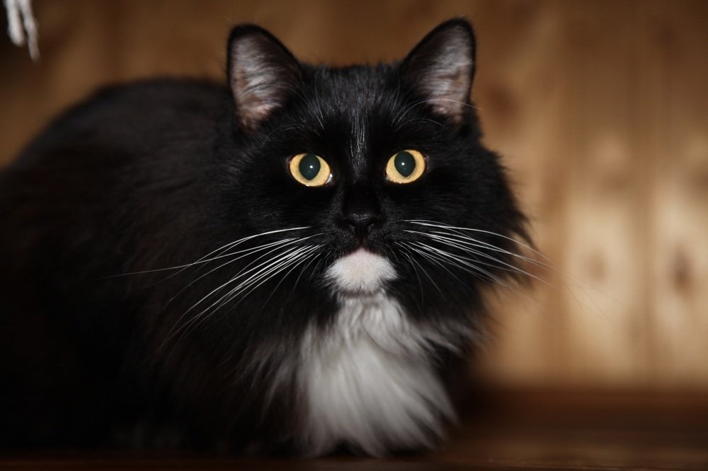 Photograph by Елена Смирнова