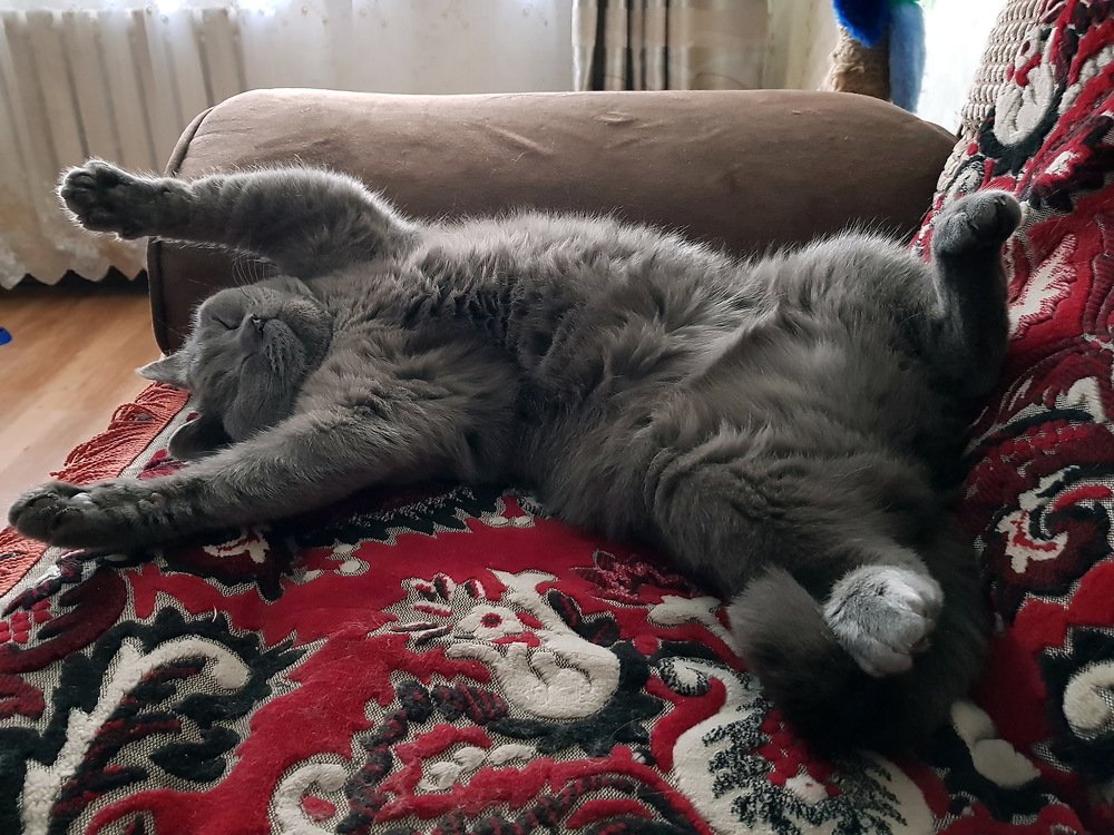 Сладкий беззаботный сон...