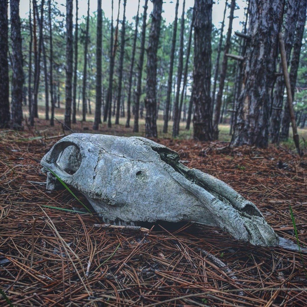 Photograph by Николай Авраменко