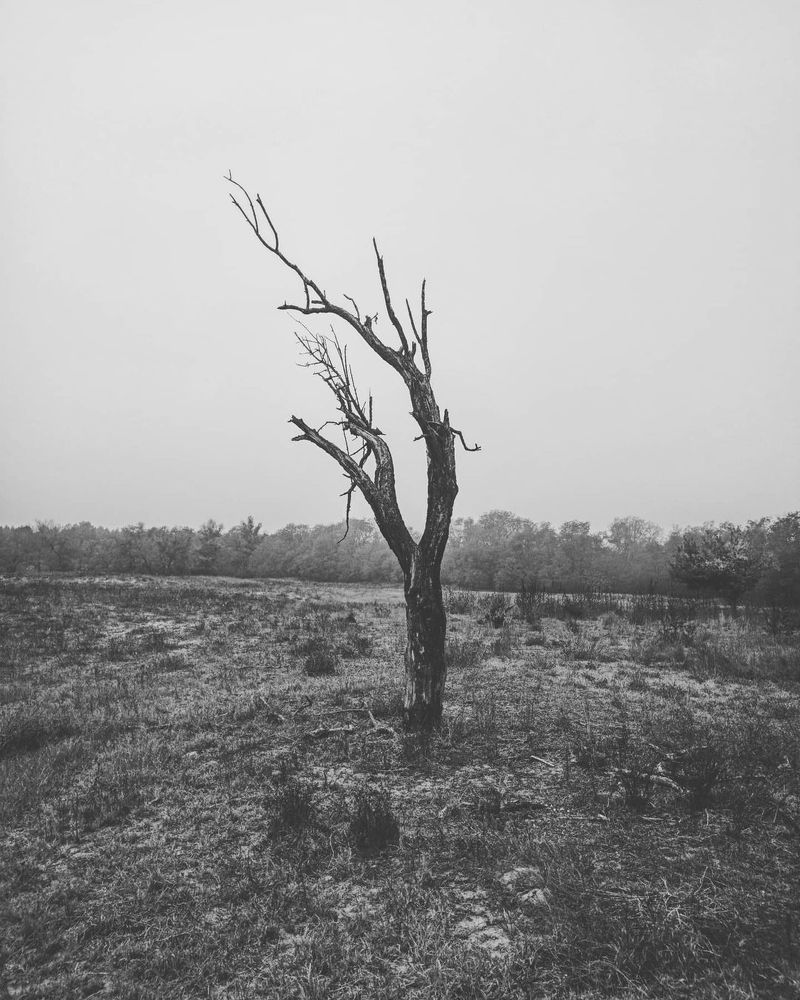 Photograph by Николай Авраменко