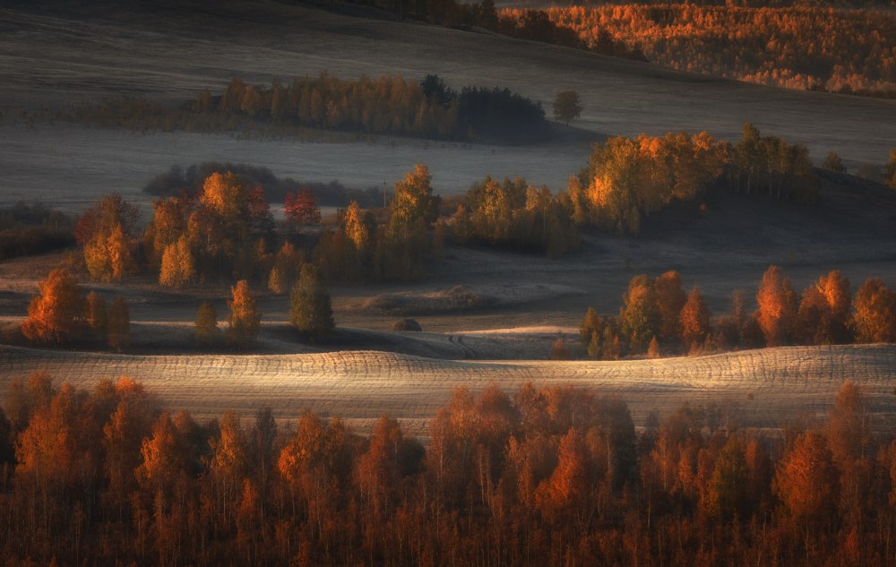 Photograph by Татьяна Бирюкова