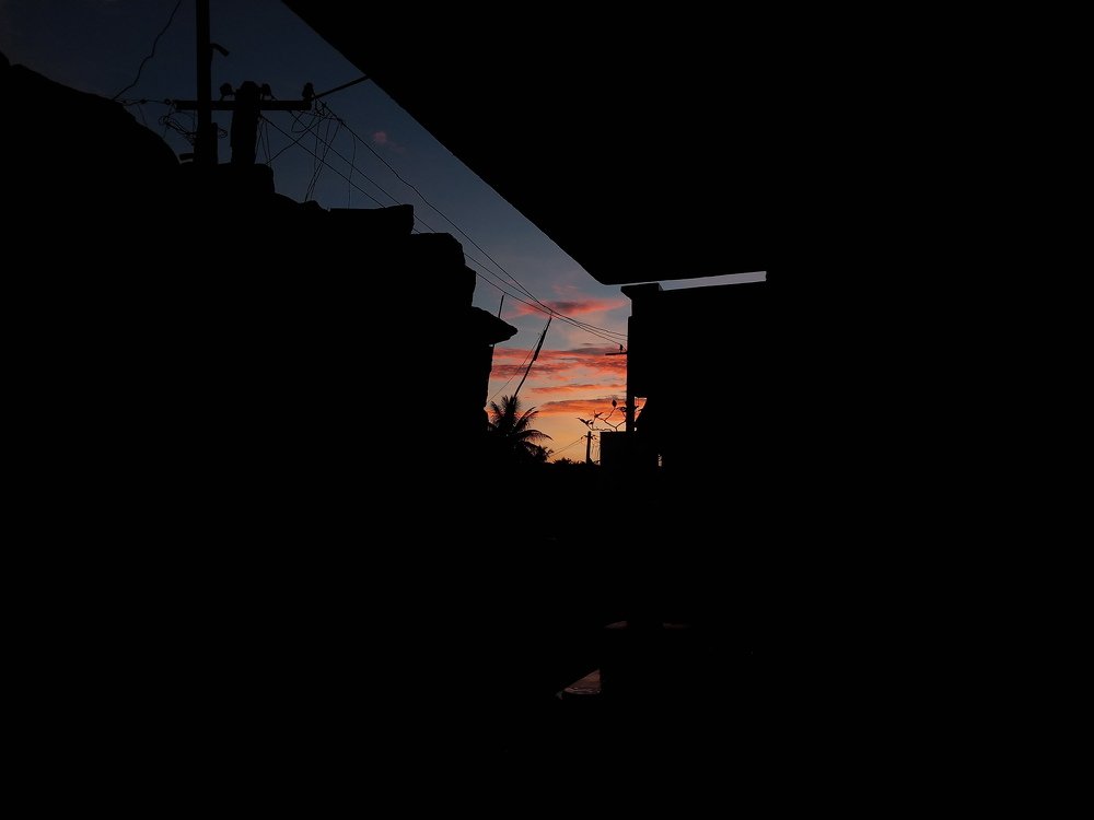 Photo #5295674