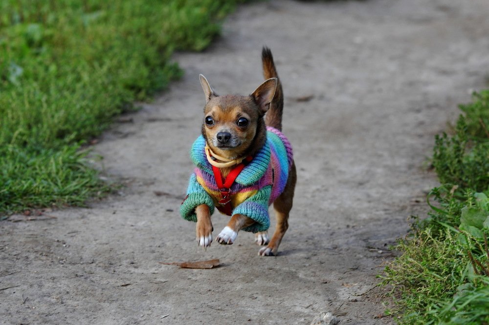 Photograph by Константин Лагоденко