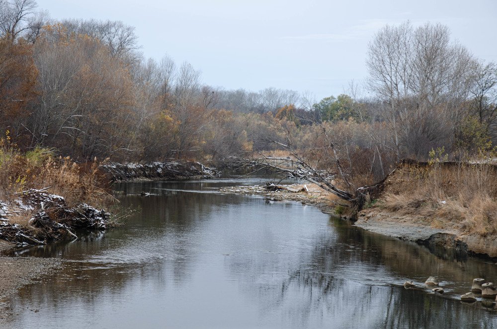 Первый снег