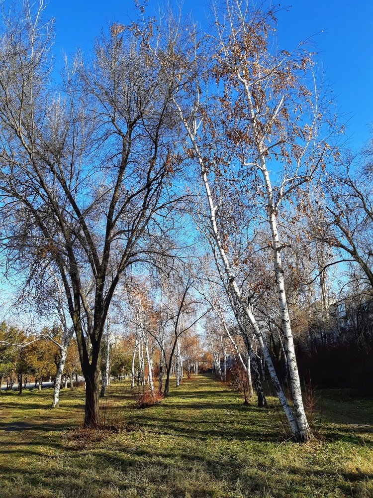 Photograph by Inessa Botasheva