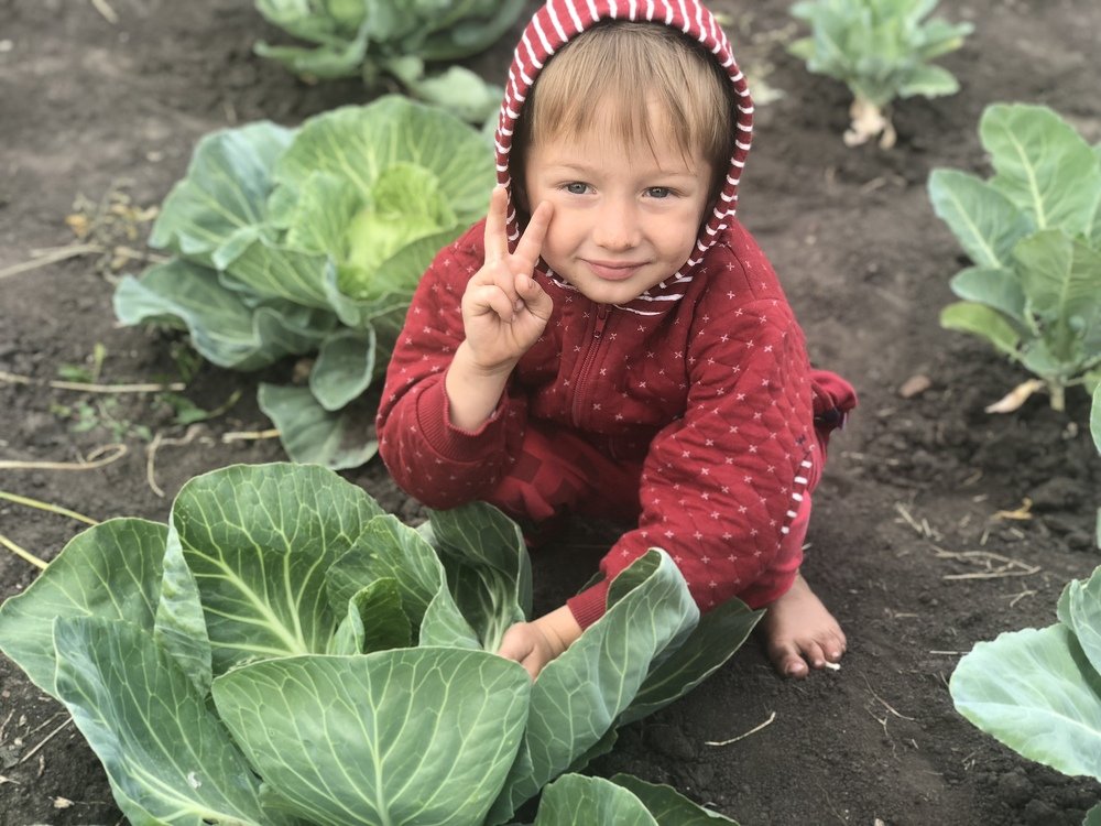 Photograph by Ирина Шипулина