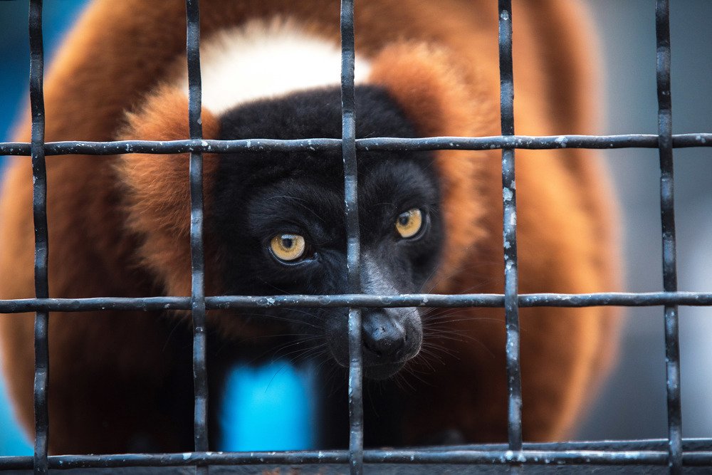 Photograph by Николай Кононов