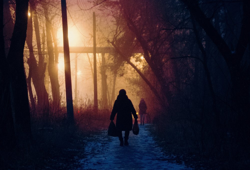 Photograph by Артём Аниськин