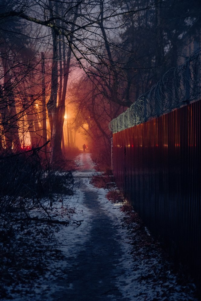 Photograph by Артём Аниськин