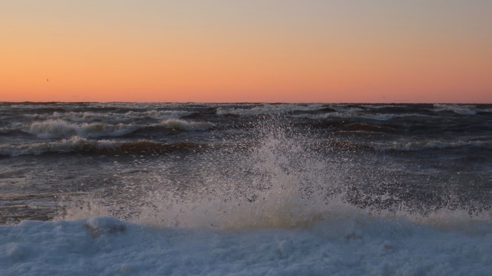 Photograph by Алина Голубева