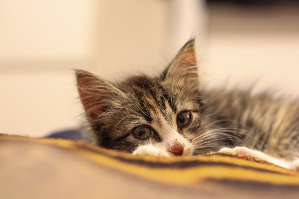 Photograph by Инна Юдина