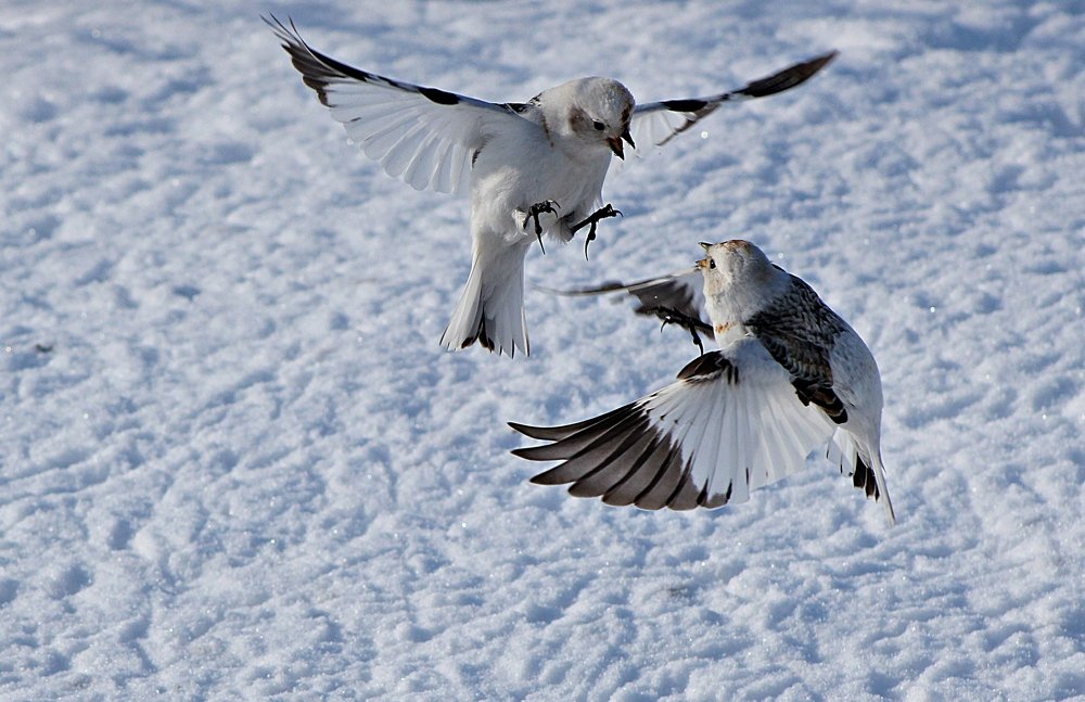 Photograph by Александр Велигура