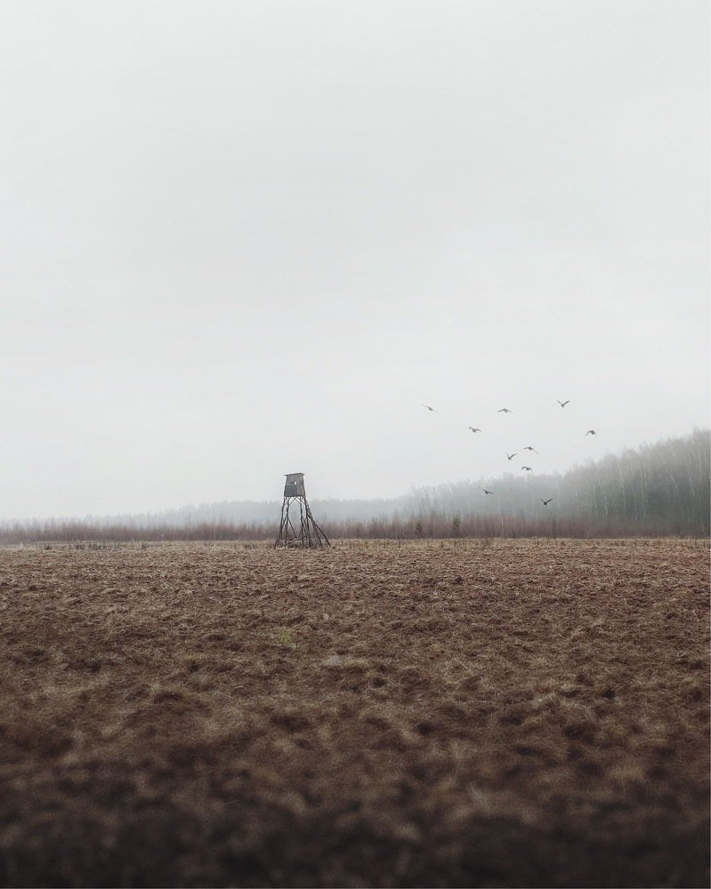 Photograph by Сергей Протасов