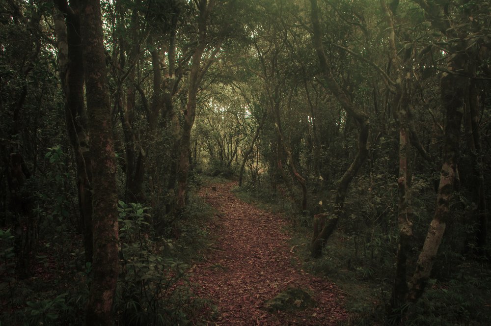 Photograph by Amith Anuradha