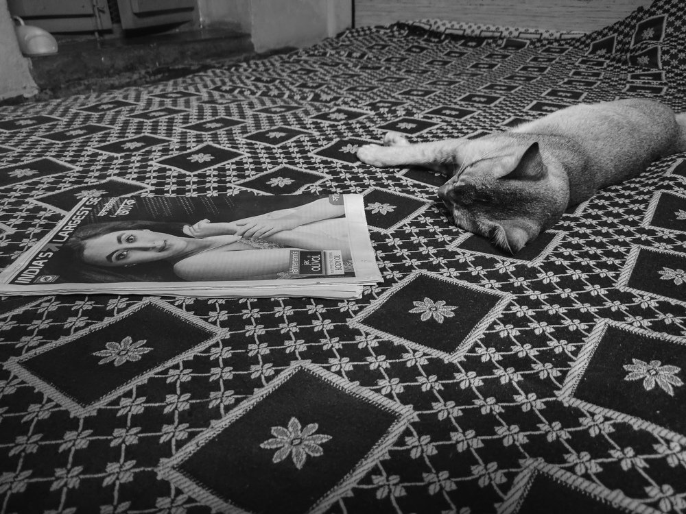 Photograph by Pramit Das