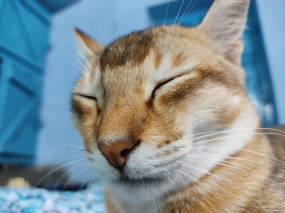 Photograph by Pramit Das