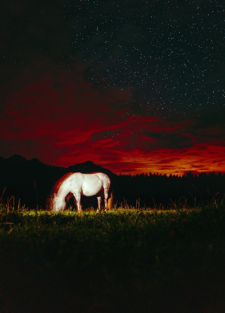 Photograph by Даниил Конторович