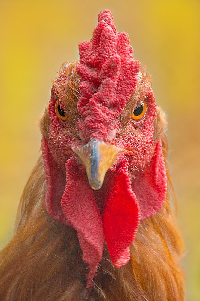 Photograph by Олеся