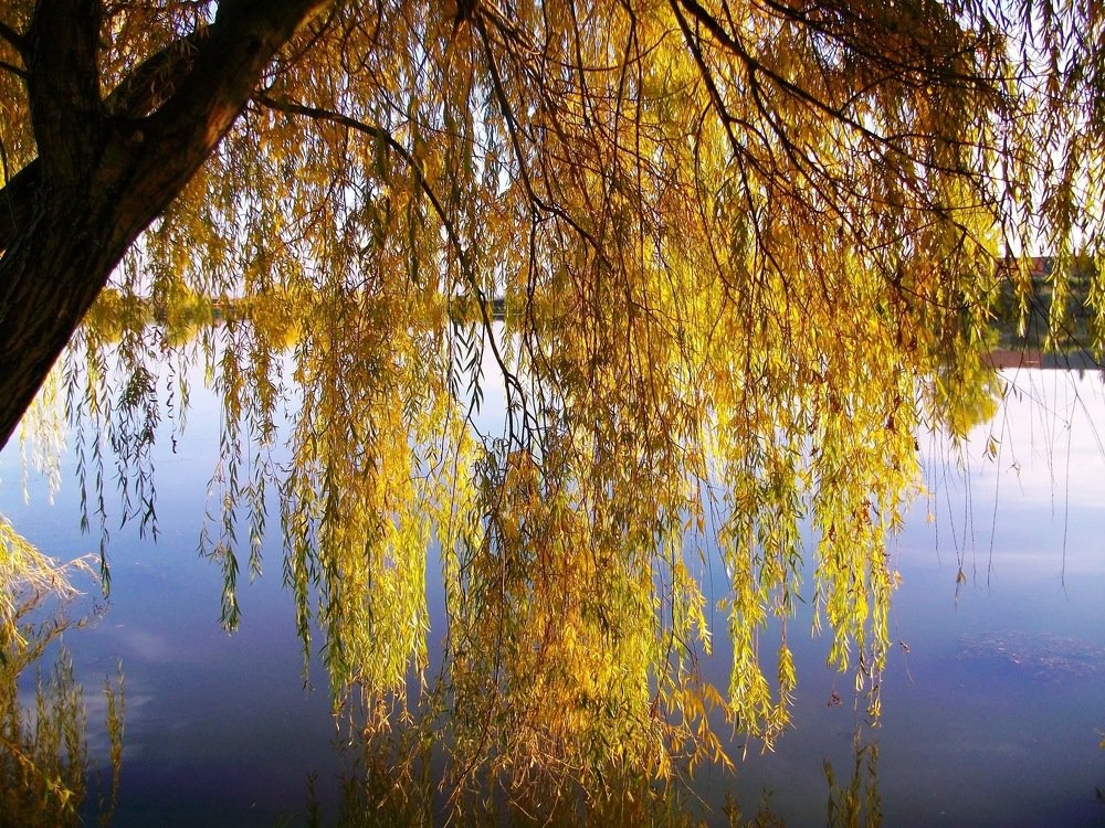 Photograph by Володимир Федишин