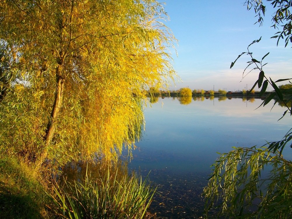 Photograph by Володимир Федишин