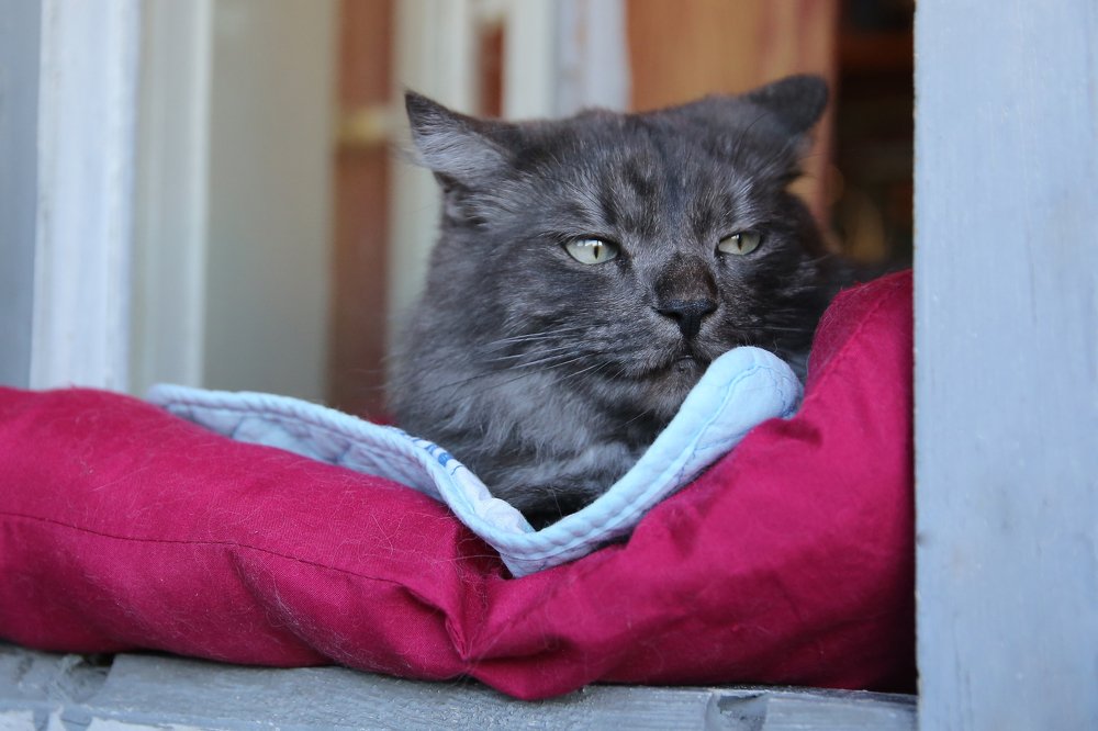 Photograph by Инна Юдина