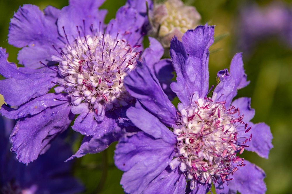 Photograph by Людмила Шафрай