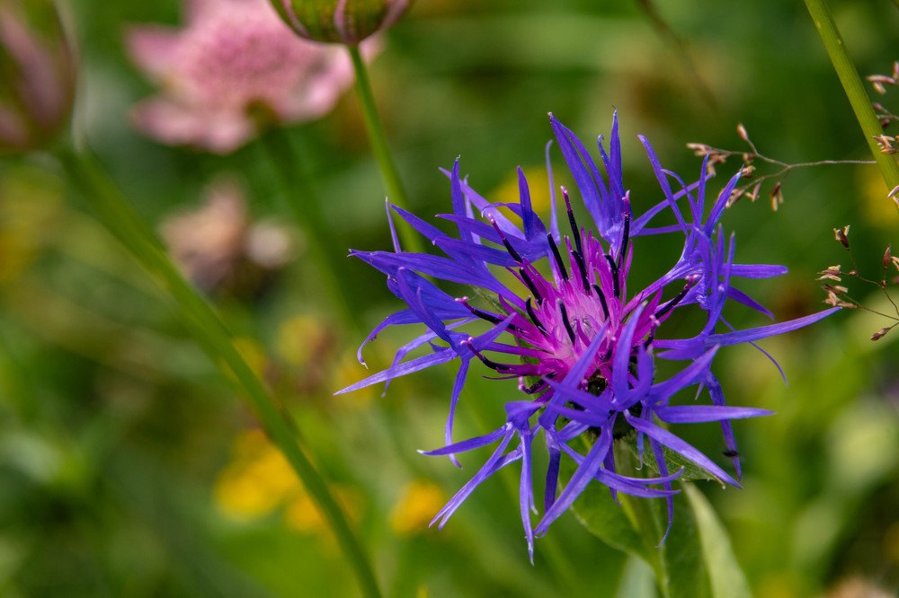 Photograph by Людмила Шафрай