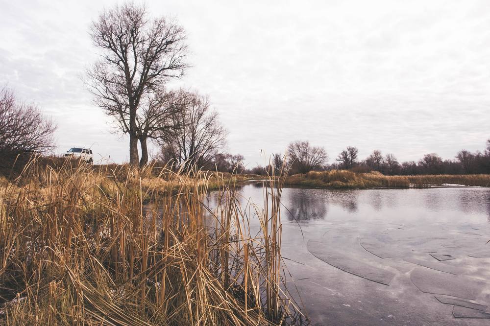 Photograph by Денис Левченко