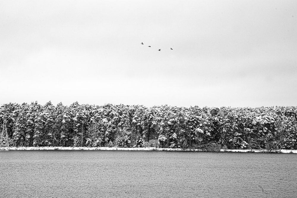 Photograph by Андрей Шаронов