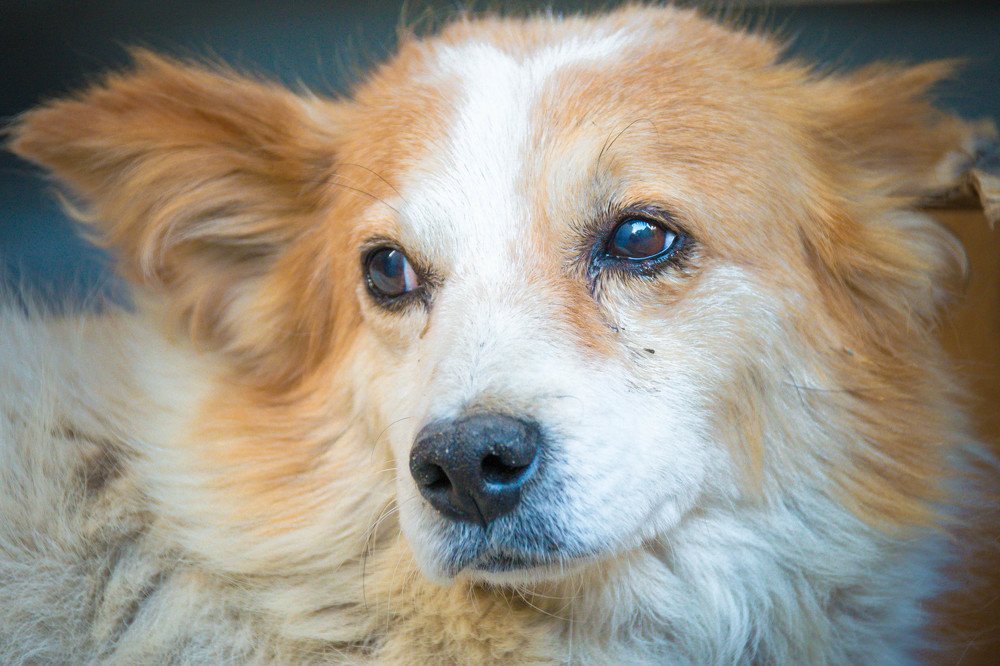 Photograph by Олеся