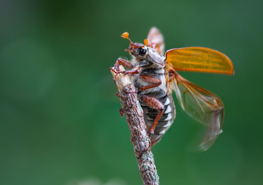 Photograph by Александр Рындин
