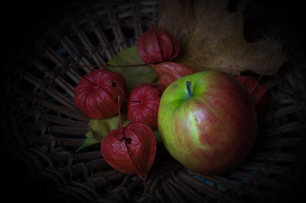 Photograph by Андрей Бурда