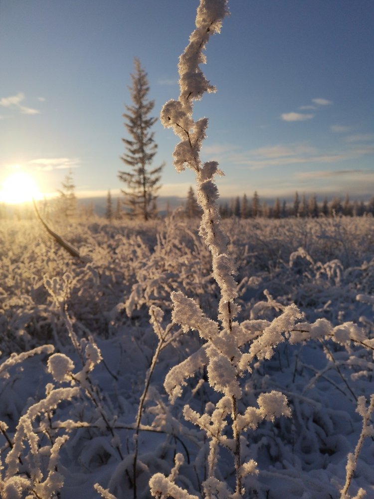 Photograph by Светлана