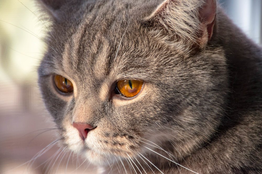 Photograph by Елена Прохорова