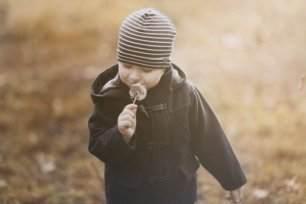 Photograph by Мария Буданова