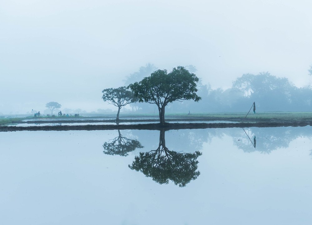 Photograph by Julie Ann Nosuelo